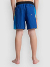 Quiksilver Everyday Holmes Volley 16 Kids Boardshorts
