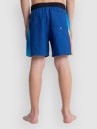 Quiksilver Everyday Holmes Volley 16 Kids Boardshorts