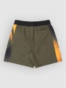 Quiksilver Everyday Holmes Volley 16 Kids Boardshorts