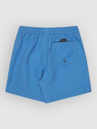 Quiksilver Everyday Malibu Volley 14 Kids Boardshorts