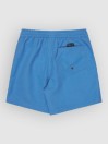 Quiksilver Everyday Malibu Volley 14 Kids Boardshorts