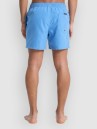 Quiksilver Everyday Malibu Volley 15 Boardshort