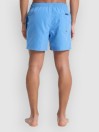 Quiksilver Everyday Malibu Volley 15 Boardshorts