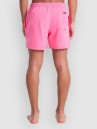Quiksilver Everyday Malibu Volley 15 Boardshorts
