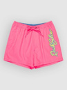 Quiksilver Everyday Malibu Volley 15 Boardshorts