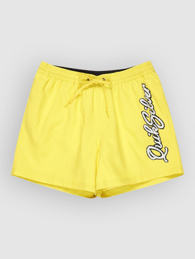 Quiksilver Everyday Malibu Volley 15 Boardshorts
