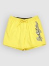 Quiksilver Everyday Malibu Volley 15 Boardshorts