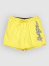 Quiksilver Everyday Malibu Volley 15 Boardshorts