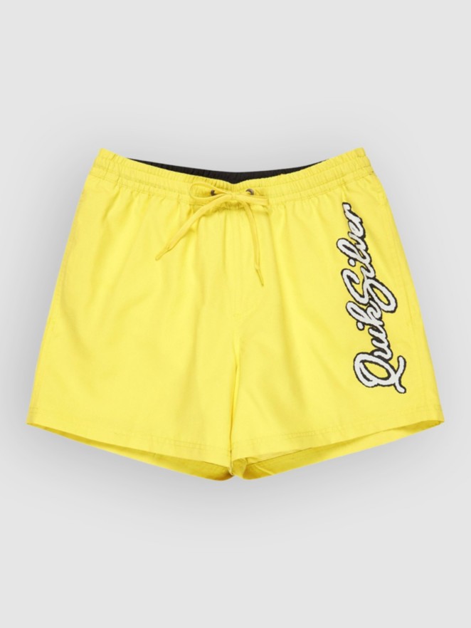 Quiksilver Everyday Malibu Volley 15 Boardshorts