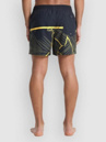 Quiksilver Everyday Poolsider 15 Boardshorts