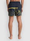 Quiksilver Everyday Poolsider 15 Boardshorts
