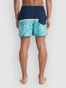 Quiksilver Everyday Poolsider 15 Boardshorts