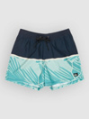 Quiksilver Everyday Poolsider 15 Boardshorts