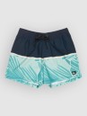 Quiksilver Everyday Poolsider 15 Boardshorts