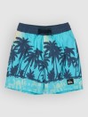 Quiksilver Everyday Printed Volley 13 Kids Boardshorts