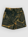 Quiksilver Everyday Printed Volley 14 Kids Boardshorts