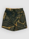 Quiksilver Everyday Printed Volley 14 Kids Boardshorts