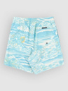 Quiksilver Everyday Printed Volley 14 Kids Boardshorts