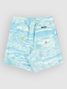 Quiksilver Everyday Printed Volley 14 Kids Boardshorts