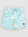 Quiksilver Everyday Printed Volley 14 Kids Boardshorts