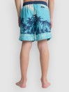 Quiksilver Everyday Printed Volley 14 Kids Boardshorts