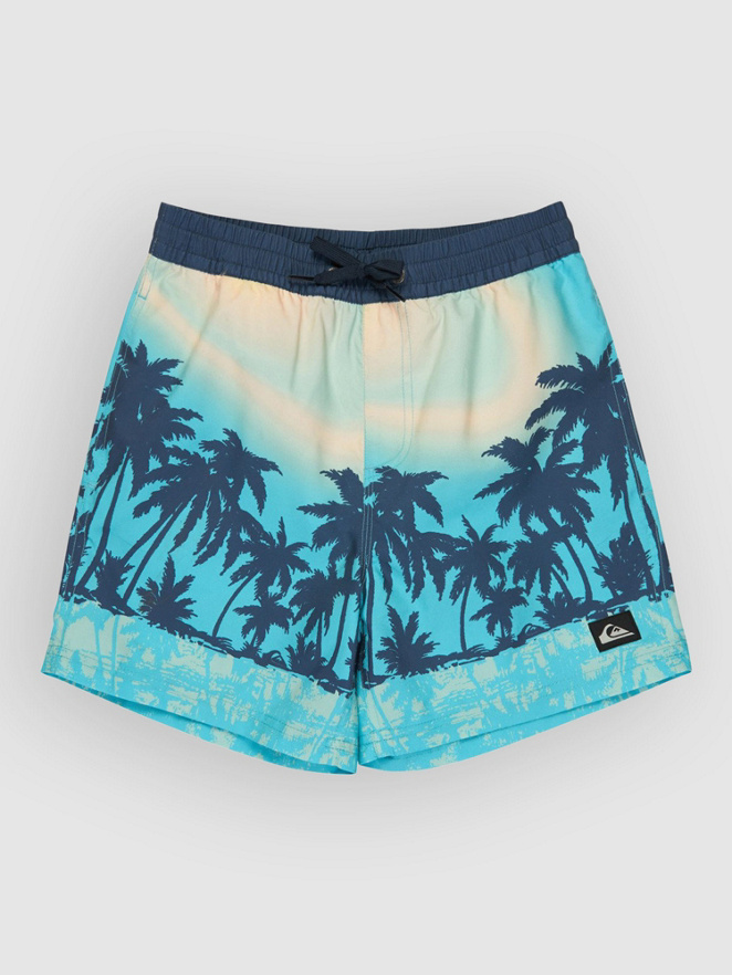 Quiksilver Everyday Printed Volley 14 Kids Boardshorts