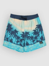 Quiksilver Everyday Printed Volley 14 Kids Boardshorts