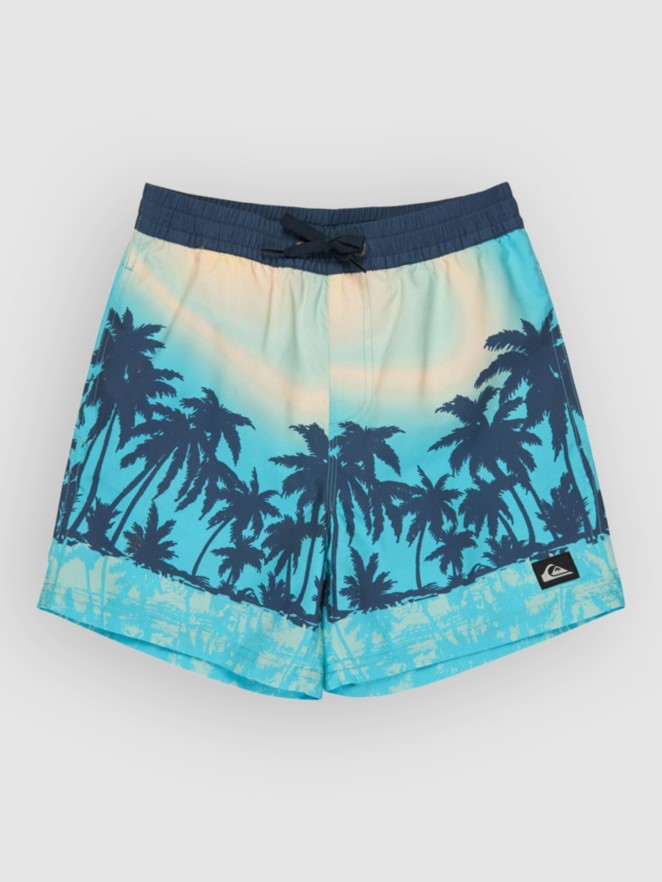 Quiksilver Everyday Printed Volley 14 Kids Boardshorts