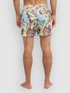 Quiksilver Everyday Printed Volley 15 Boardshorts