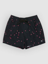 Quiksilver Everyday Printed Volley 15 Boardshorts