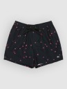 Quiksilver Everyday Printed Volley 15 Boardshorts