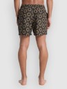 Quiksilver Everyday Printed Volley 15 Boardshorts
