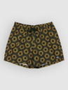 Quiksilver Everyday Printed Volley 15 Boardshorts