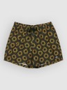 Quiksilver Everyday Printed Volley 15 Boardshorts