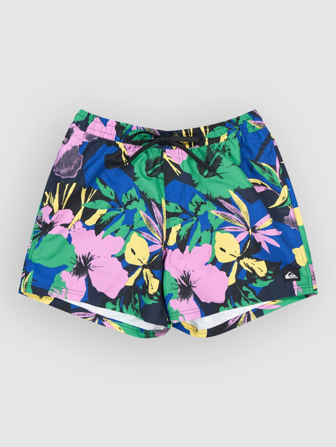 Quiksilver Everyday Printed Volley 15 Boardshorts