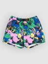 Quiksilver Everyday Printed Volley 15 Boardshorts