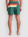 Quiksilver Everyday Printed Volley 15 Boardshorts