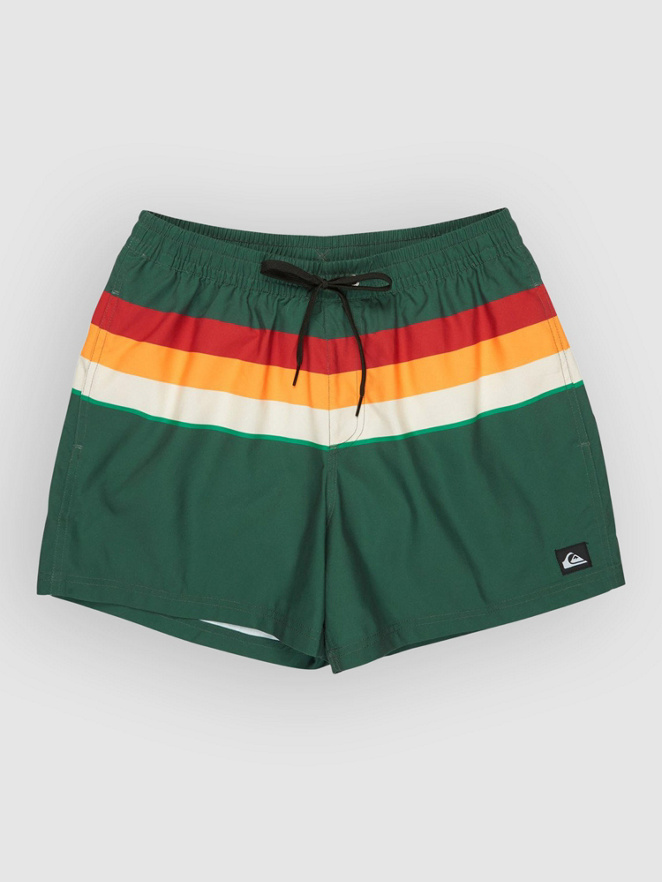 Quiksilver Everyday Printed Volley 15 Boardshorts