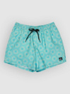 Quiksilver Everyday Printed Volley 15 Boardshorts