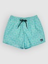 Quiksilver Everyday Printed Volley 15 Boardshorts
