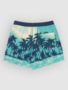 Quiksilver Everyday Printed Volley 15 Boardshorts