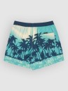 Quiksilver Everyday Printed Volley 15 Boardshorts