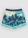 Quiksilver Everyday Printed Volley 15 Boardshorts