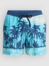 Quiksilver Everyday Printed Volley 15 Boardshorts
