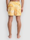 Quiksilver Everyday Printed Volley 15 Boardshorts
