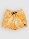 Quiksilver Everyday Printed Volley 15 Boardshorts