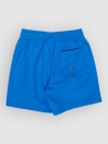 Quiksilver Everyday Volley 12 Kids Boardshorts