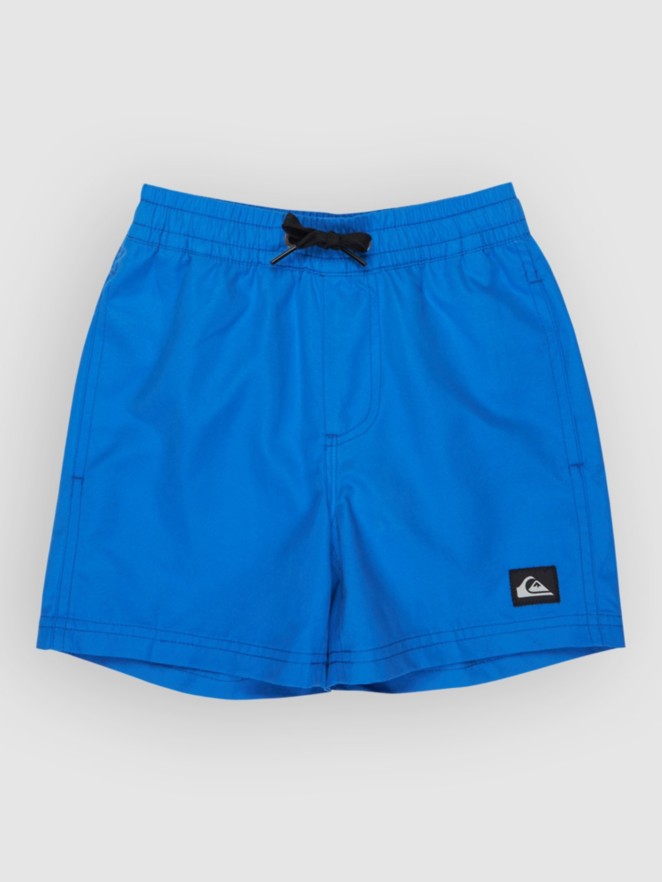 Quiksilver Everyday Volley 12 Kids Boardshorts