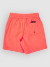 Quiksilver Everyday Volley 12 Kids Boardshorts