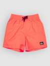 Quiksilver Everyday Volley 12 Kids Boardshorts